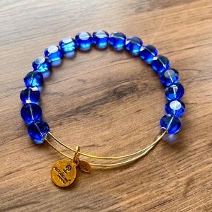 Alex and Ani Sapphire Luxe Bangle Bracelet